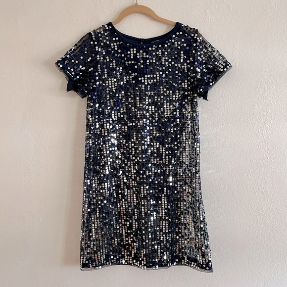 Sheer Navy Blue Whimsagoth Fairy Dress W/ Silver Sequins All Over Size Small - Picture 1 of 6